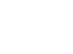 Dental Master Dental Master